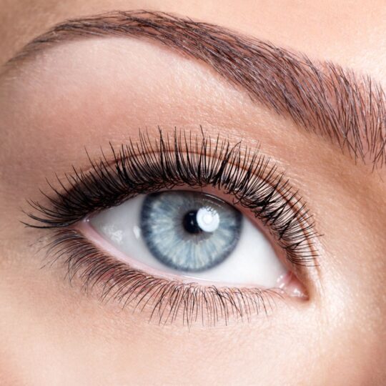 Lower Eyelash